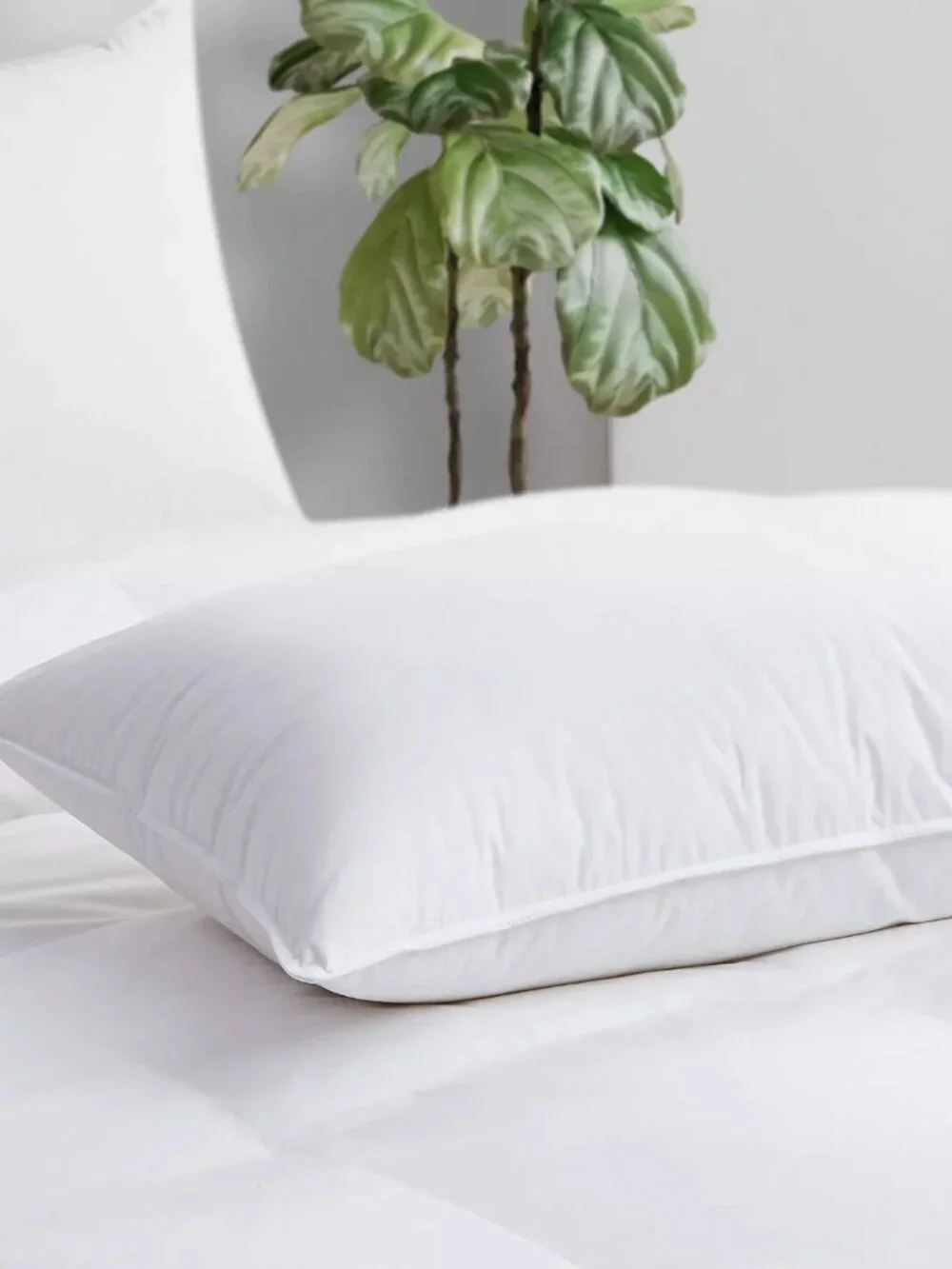 Avocado luxury Down Filled Queen Pillow 100% Cotton Cover 600 Fill Power - $245